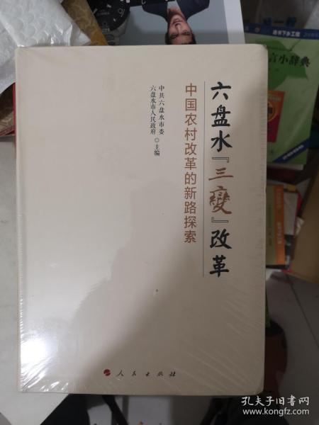 六盘水“三变”改革 中国农村改革的新路探索