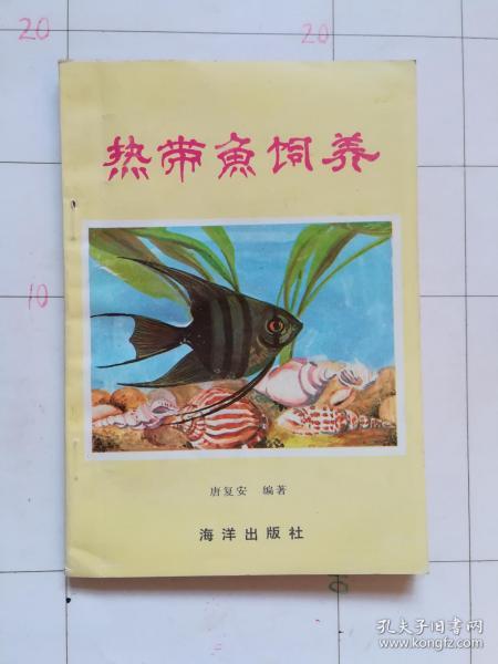 热带鱼饲养