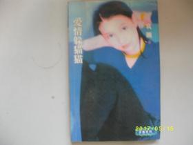 爱情躲猫猫/袁圆/1998年/九品/A379A379