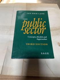 THE PUBLIC SECTOR