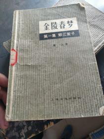 金陵春梦  1