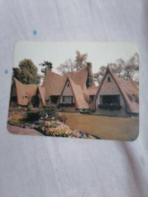 1993年月历卡片
