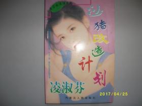 沙猪改造计划/凌淑芬/1996年/九品/A391 A390A391