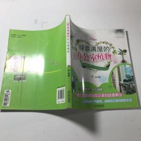 绿意满屋的办公室植物