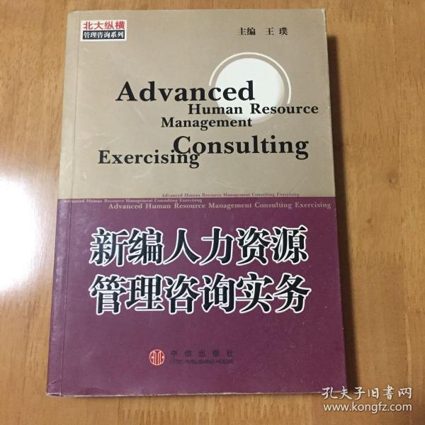 新编人力资源管理咨询实务