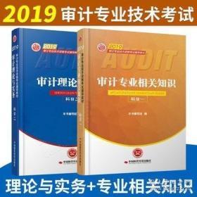 2019审计专业技术资格考试辅导教材 审计专业相关知识科目一  审计理论与实务科目二 两册合售