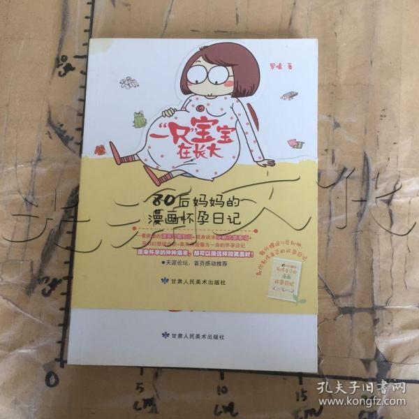 一“只”宝宝在长大：80后妈妈的漫画怀孕日记