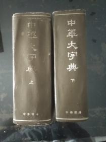 中华大字典（缩印本全二册）