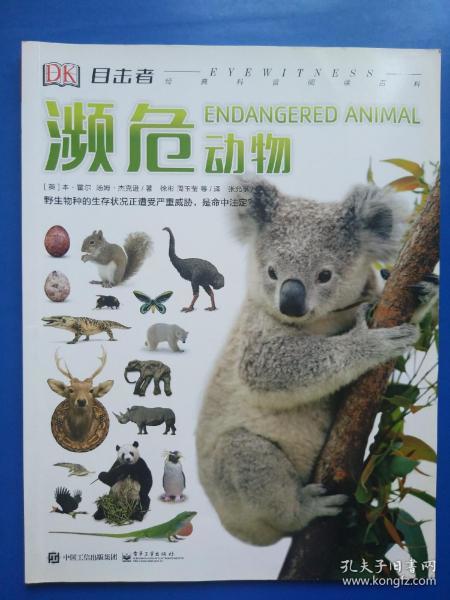 DK目击者经典科普阅读百科 濒危动物