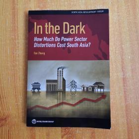 SOUTH ASIA DEVELOPMENT FORUM In the Dark