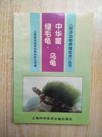 中华鳖乌龟绿毛龟