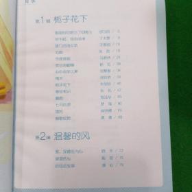 青葱岁月:那段时间她当了回差生/男孩女孩皇冠新星文学系列丛书