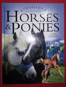 Horses and Ponies (Kingfisher Riding Club)