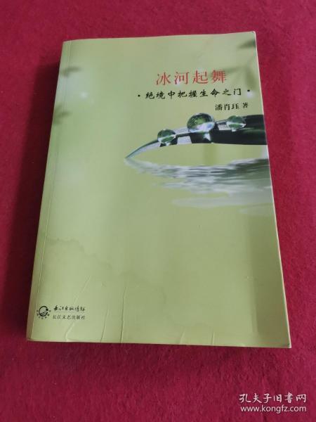 冰河起舞：绝境中把握生命之门