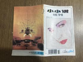 小小说选刊1995年第22期