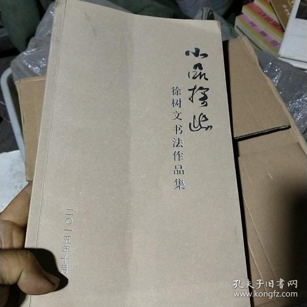 小品探幽徐树文书法作品集