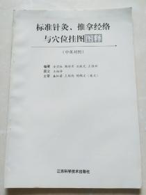 标准针灸推拿经络与穴位挂图图释