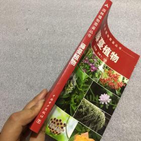 园林植物图鉴丛书：藤蔓植物