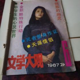 文学大观1987年第6期。