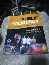 Public Sociology