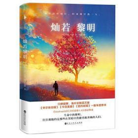 灿若黎明（海外畅销百万册，《华尔街日报》《今日美国》《纽约时报》一致年度荐书，Goodreads60000读者4.4分感动荐读。