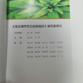 连云港常见树种图册   H区