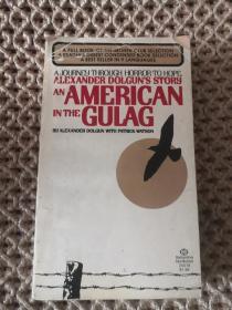 American gulag