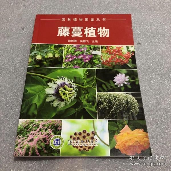 园林植物图鉴丛书：藤蔓植物