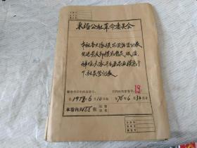 1978年东杨公社革命委员会各大队模范贫协登记表，先进党支部模范党员，干部花名册及模范干部社员登记表【一厚册】