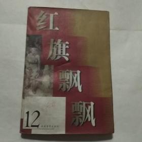 红旗飘飘12