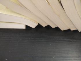 受戒-中国小说50强1978-2000年(一版一印、3000册)