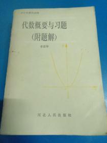 代數(shù)概要與習(xí)題  附題解     130473