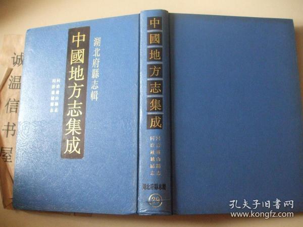 湖北府县志辑：同治通山县志、同治通城县志