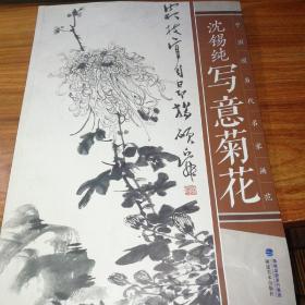 沈锡纯写意菊花一一中国现当代名家画范。