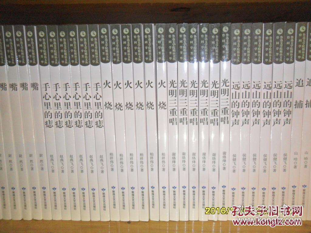 手心里的痣 鲁迅文学院精品文丛.恰同学芳华