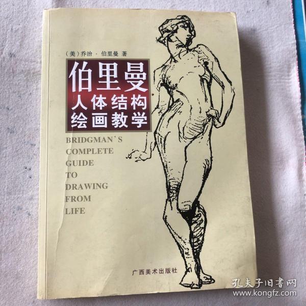 伯里曼人体结构绘画教学