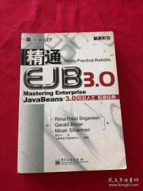 精通EJB 3.0