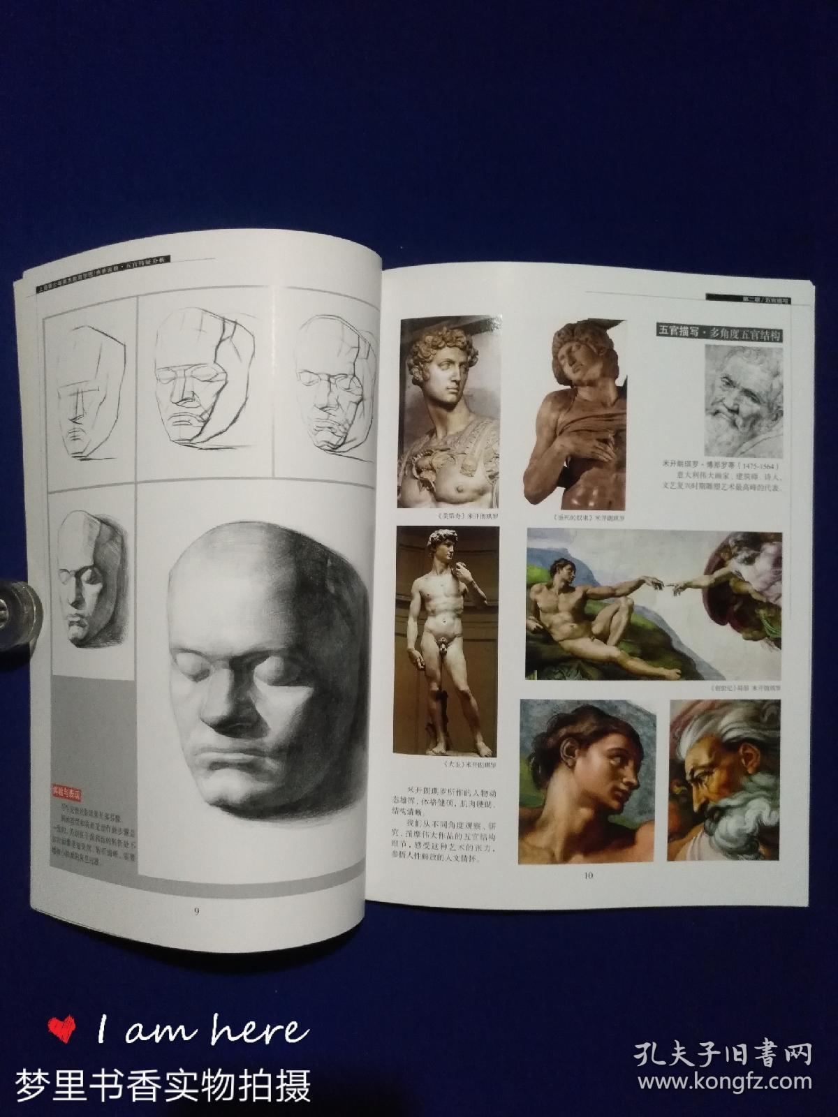 典雅流盼——五官特征分析