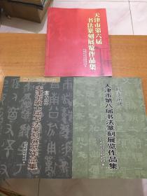 天津市第六届 第七届 第八届 书法篆刻展览作品集 三本合售