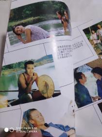 十二集电视连续剧(篱笆女人和狗)剧照、剧本、评论、插曲