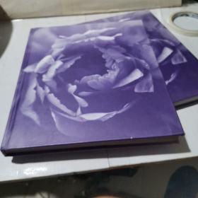 原版英文  JANE PACKER`S FLOWER COURSE 插花艺术