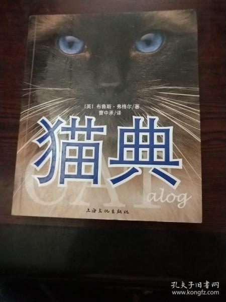 猫典