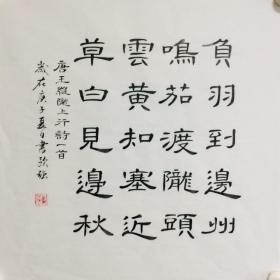 手写书法精品 诗一首 陇上行 隶书 50cm