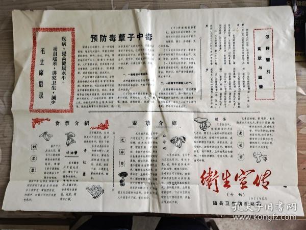 1973年 随县 卫生宣传 老报纸 带语录