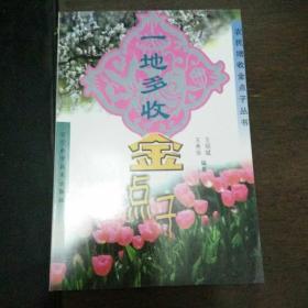 农民增收金点子丛书：一地多收金点子