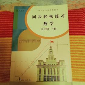 同步轻松练习 数学 九年级 下册（附检测卷）