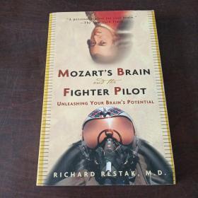 Mozart's Brain and the Fighter Pilot: Unleashing Your Brain's Potential（英文原版）