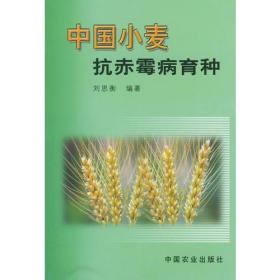 中国小麦抗赤霉病育种