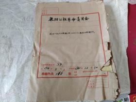 1960年基层干部登记表【一厚册】116张