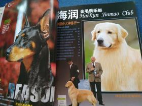 名犬2009年7月号